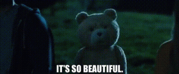 It's So Beautiful By Ted The Teddy Bear GIF