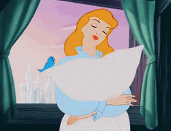 It's So Fluffy Cinderella Hugging Her Pillow GIF