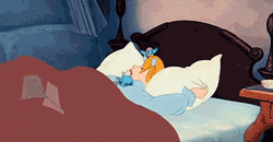 It's So Fluffy Cinderella Pillow GIF