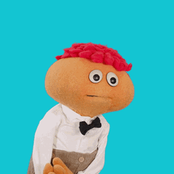 It's The Afternoon Puppet GIF