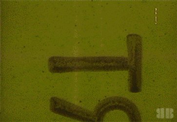 It's The Final 1960'S Vintage Countdown GIF