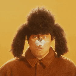 It's The Final Christmas Countdown Dog Hat GIF