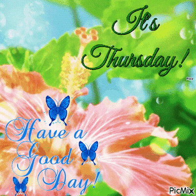It's Thursday Greeting Card GIF