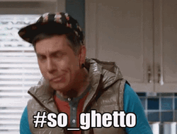 It's Totally The Ghetto Thing GIF