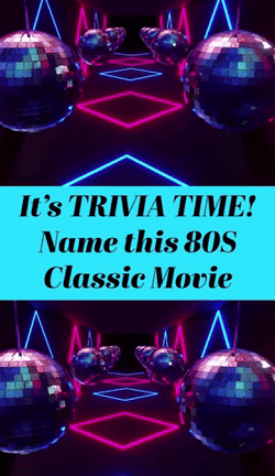 It's Trivia Time GIF