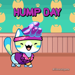 It's Wednesday Good Morning To You GIF