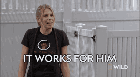 It Works For Him National Geographic GIF