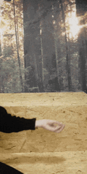 Italian Hand Slow Motion GIF