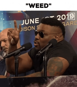 Its A Man Baby In An Interview GIF