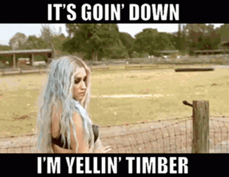 Its Going Down Kesha Yellin Timber GIF