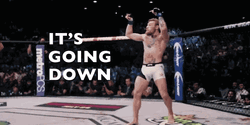 Its Going Down Martial Artist Conor McGregor GIF