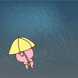 Its Gonna Rain And Cat Blown Away GIF