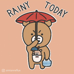 Its Gonna Rain Brown Bear GIF