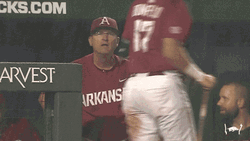Its Gonna Rain Dave Van Horn GIF