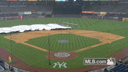 Its Gonna Rain Hurry Cover The Area GIF