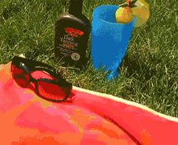 Its Hot Dog Bikini Sunbathing GIF