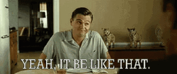 Its Like That Shrugging Leonardo DeCaprio GIF