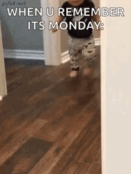 Its Monday Baby Oops GIF