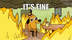 Its Ok Dog In Fire GIF