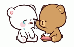 Its Okay Brown Bear Wipe White Bear Tears GIF