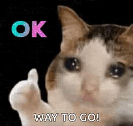 Its Okay Way To Go Teary Eye Cat GIF