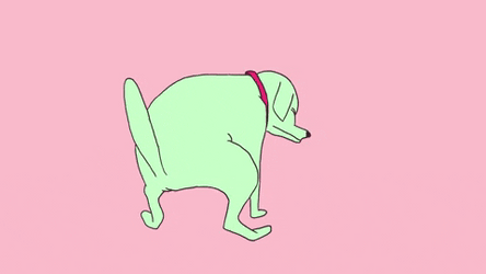 Its Poop Again Dog Trying Hard To Poop GIF