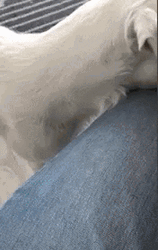 Its Poop Again I Need To Poop Again GIF