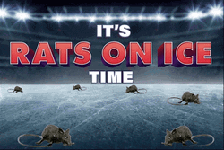 Its Rat Showering On Ice Time GIF