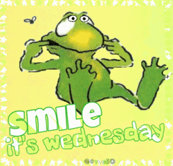 Its Smile Wacky Wednesday  GIF