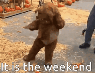 Its The Weekend Ewok Happy Dance GIF