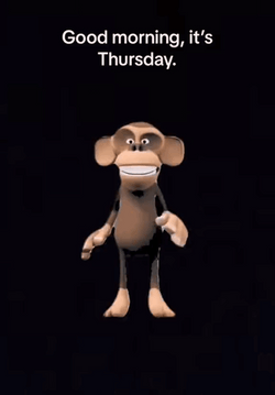 Its Thursday Dancing Monkey GIF