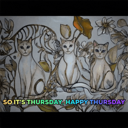 Its Thursday Three White Cats GIF