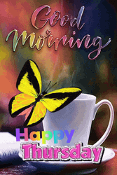 Its Thursday Yellow Butterfly GIF