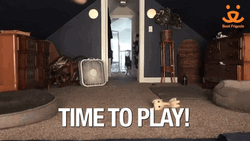 Its Time To Play The Game Chaotic Dogs GIF