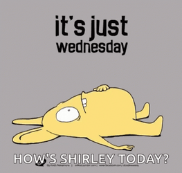 Its Wednesday Hows Shirley Today GIF