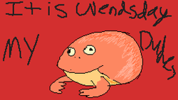 Its Wednesday My Dudes Frog Animation GIF