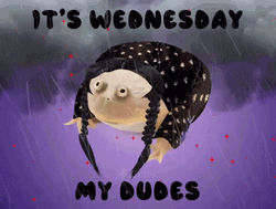 Its Wednesday My Dudes Frog GIF