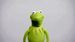 Its Wednesday My Dudes Kermit The Frog  GIF