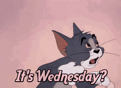 Its Wednesday Shocked Jerry Cat GIF