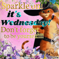 Its Wednesday Sparkle Sticker GIF