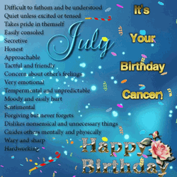 Its Your 4Th Of July Birthday GIF