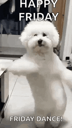 Its Your Birthday Happy Birthday GIF