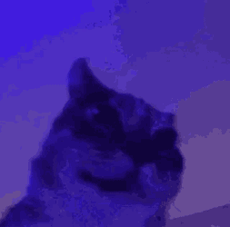 Ittybittytoasty Hehehe GIF