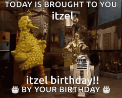 Itzel It Is Your Birthday GIF