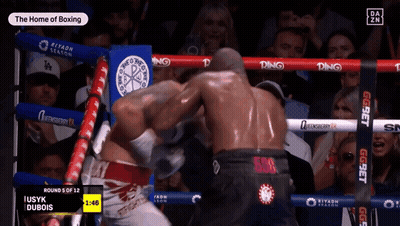 Iusyk Dubois Vs Ringside Boxing Match GIF