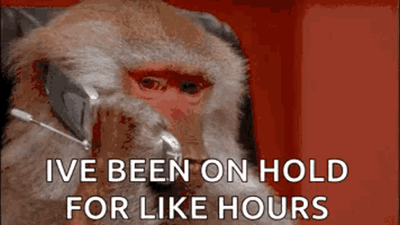 Ivebeenonholdforlikehours Onholdforever GIF
