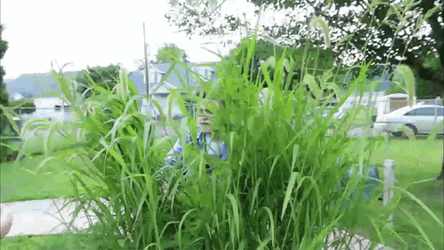 J Matthew Searching GIF