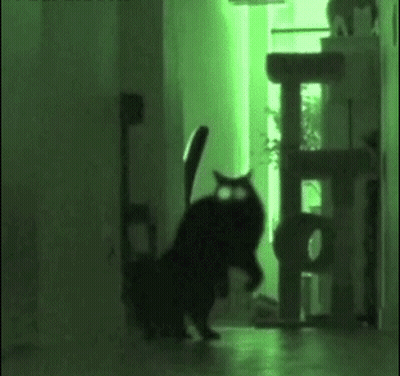 Jack Skellington Glowing In The Dark GIF