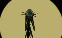 Jack Skellington Skeleton Head Skull GIF