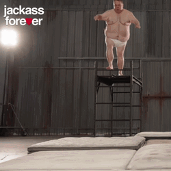 Jackass GIF